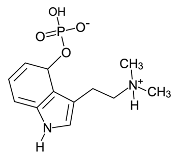 Structure de la Psilocybine